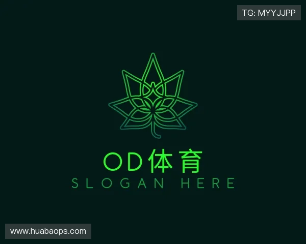关于od体育